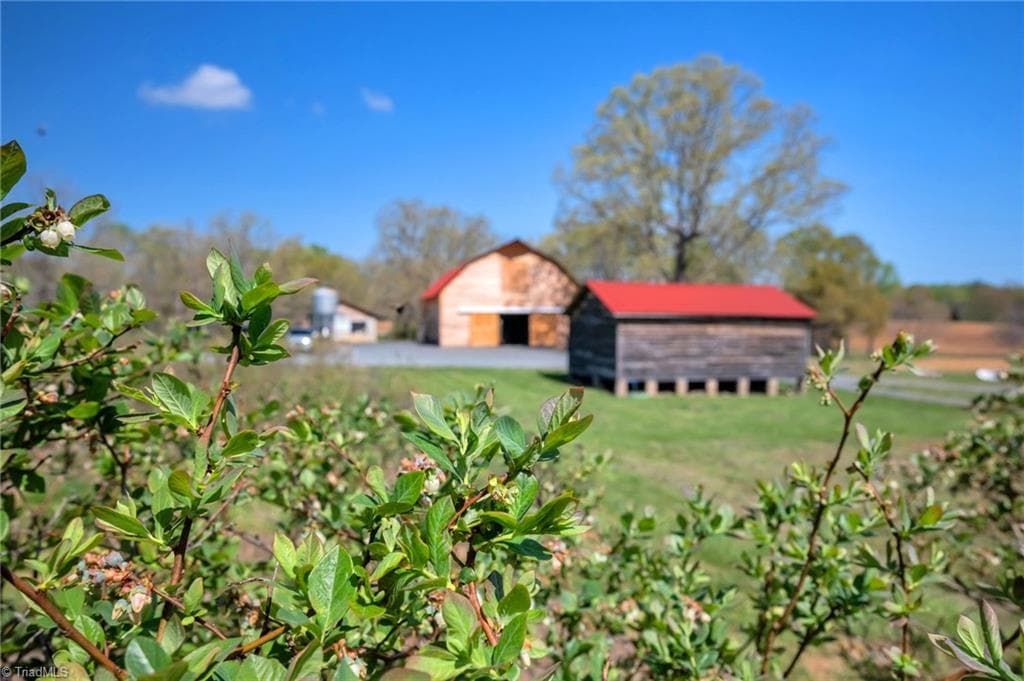 Agriculture at 32286 Laton Road, Albemarle NC 28001, photo 24 of 33