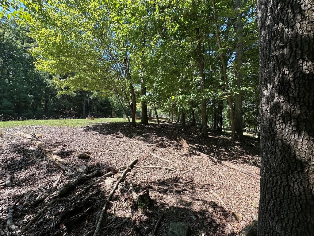 Single Family Residence at 1768 Rocky Cove Lane, Denton NC 27239, photo 5 of 12