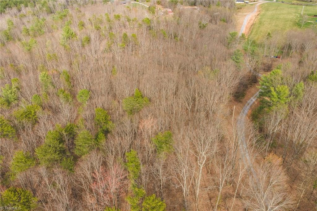 Single Family Residence at Tract 4 All Healing Springs Road, Taylorsville NC 28681, Taylorsville, photo 5 of 40