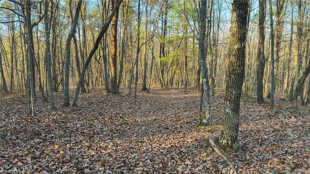Single Family Residence at Tract 4 All Healing Springs Road, Taylorsville NC 28681, Taylorsville, photo 37 of 40