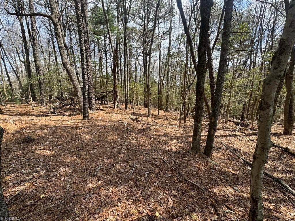Single Family Residence at TBD Ward Circle Drive, Sparta NC 28675, photo 6 of 21