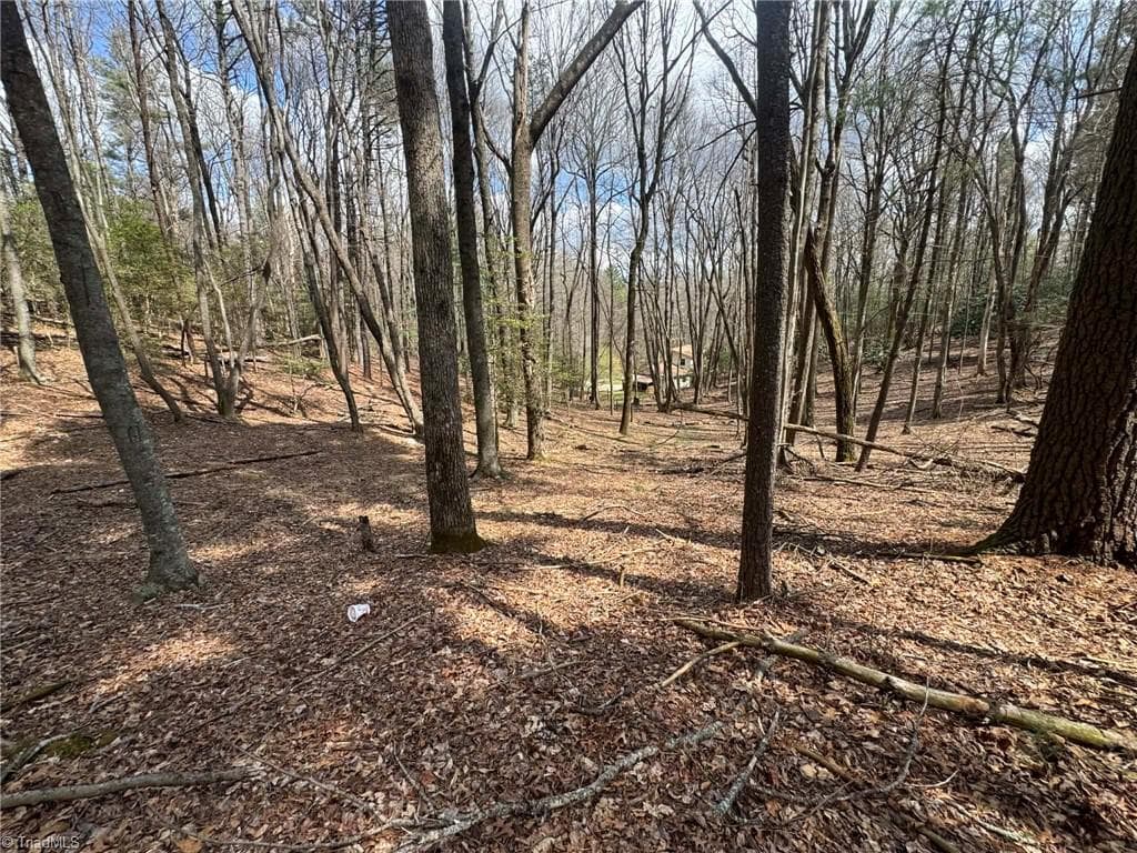 Single Family Residence at TBD Ward Circle Drive, Sparta NC 28675, photo 13 of 21