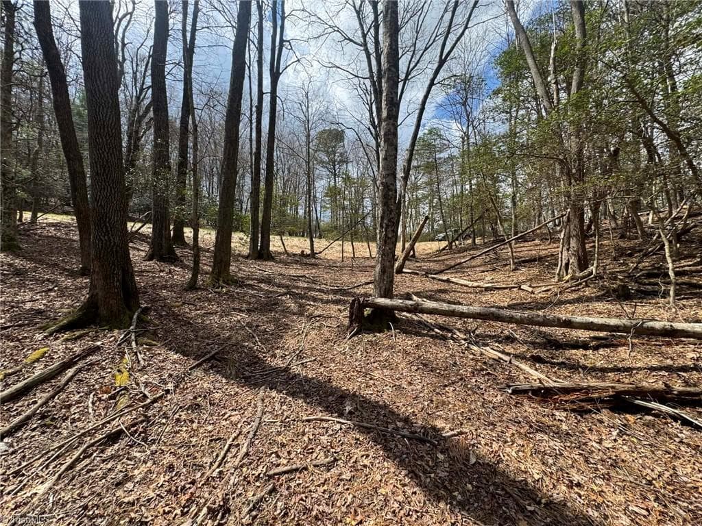 Single Family Residence at TBD Ward Circle Drive, Sparta NC 28675, photo 16 of 21