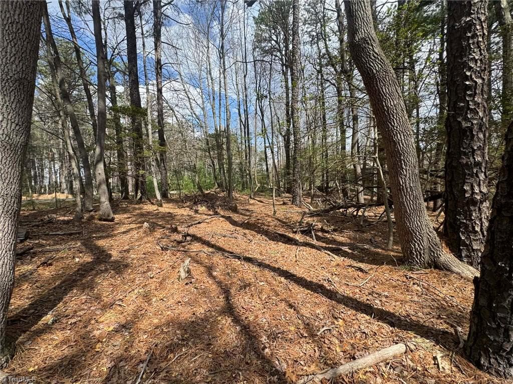 Single Family Residence at TBD Ward Circle Drive, Sparta NC 28675, photo 7 of 21