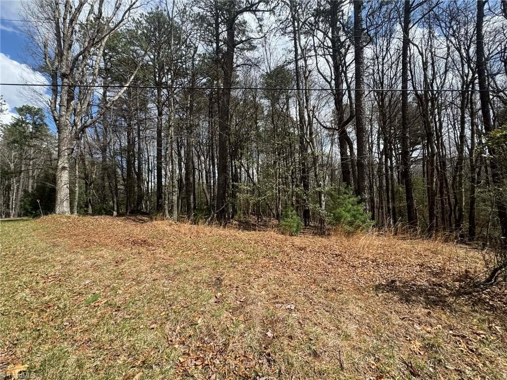 Single Family Residence at TBD Ward Circle Drive, Sparta NC 28675, photo 3 of 21