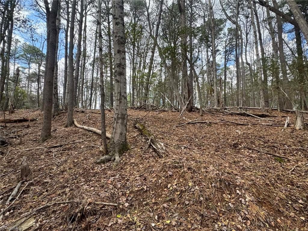 Single Family Residence at TBD Ward Circle Drive, Sparta NC 28675, photo 18 of 21