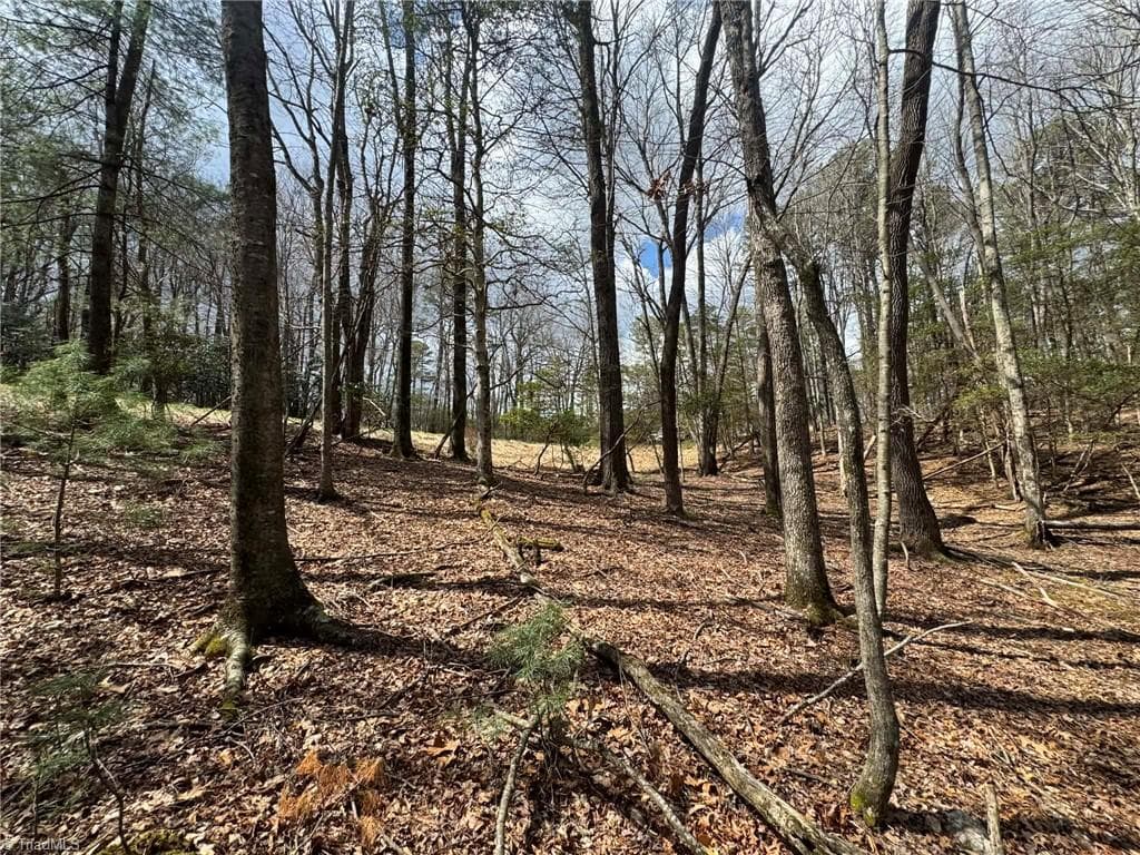 Single Family Residence at TBD Ward Circle Drive, Sparta NC 28675, photo 15 of 21