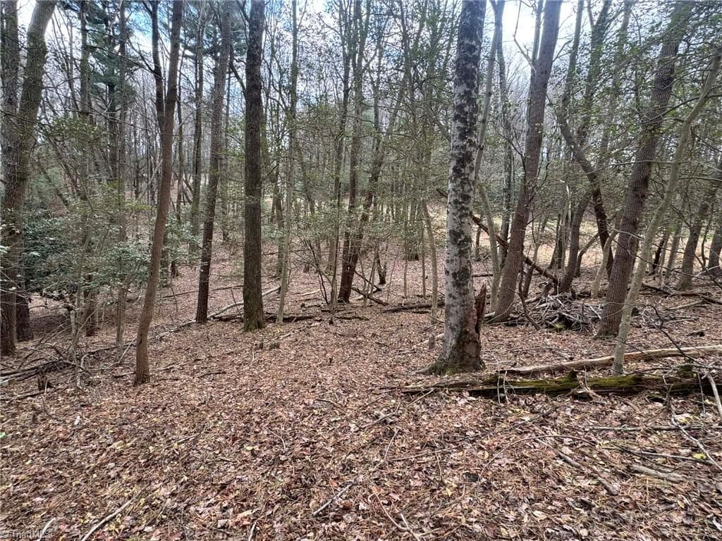 Single Family Residence at TBD Ward Circle Drive, Sparta NC 28675, photo 11 of 21