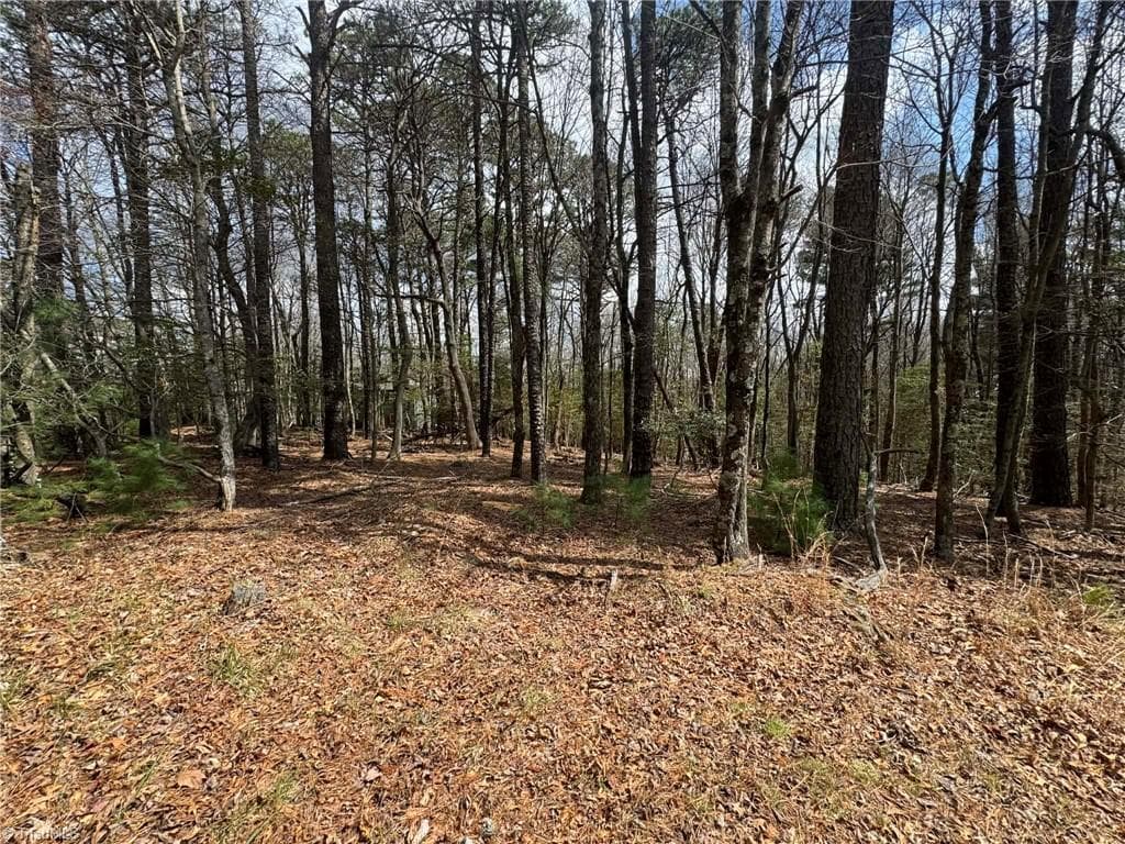 Single Family Residence at TBD Ward Circle Drive, Sparta NC 28675, photo 4 of 21