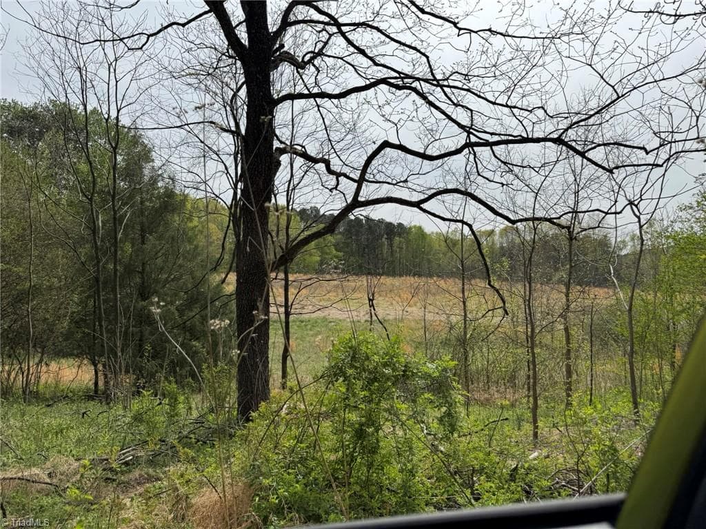 Agriculture at 6988 Salem Chapel Road, Walnut Cove NC 27052, photo 27 of 38