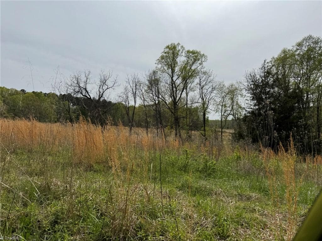 Agriculture at 6988 Salem Chapel Road, Walnut Cove NC 27052, photo 26 of 38