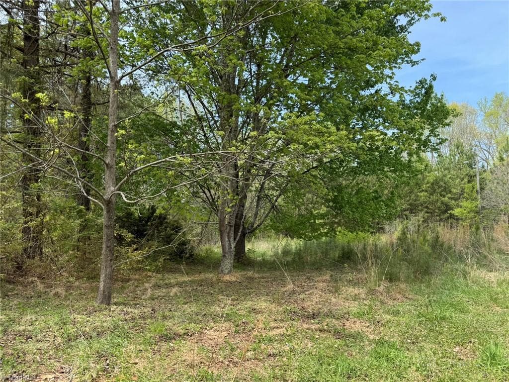Agriculture at 6988 Salem Chapel Road, Walnut Cove NC 27052, photo 5 of 38