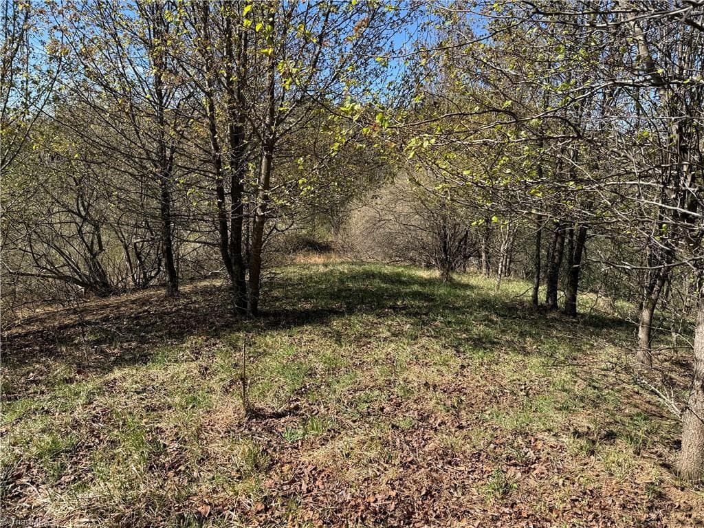 Single Family Residence at TBD (Lot 21 & 22) Martha Lane, Piney Creek NC 28663, photo 6 of 34