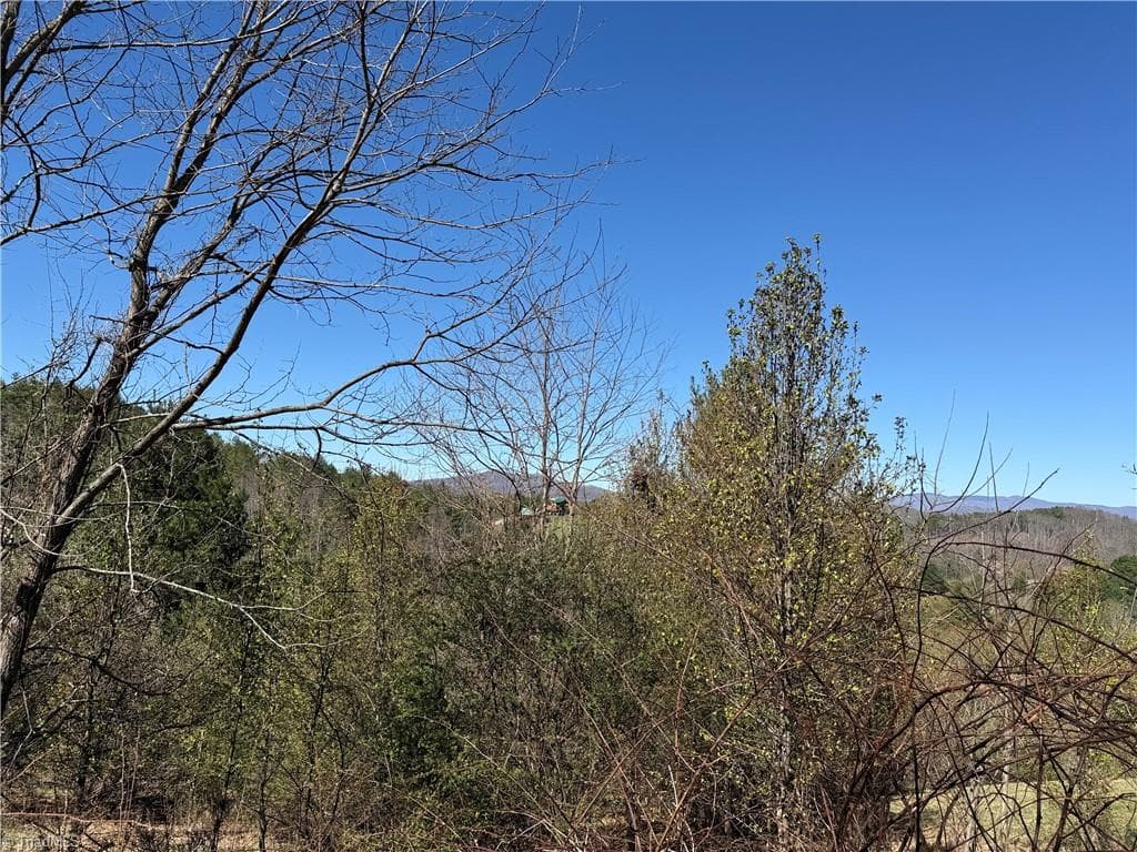 Single Family Residence at TBD (Lot 21 & 22) Martha Lane, Piney Creek NC 28663, photo 13 of 34