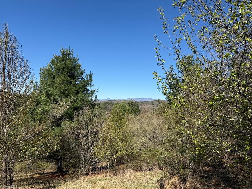 Single Family Residence at TBD (Lot 21 & 22) Martha Lane, Piney Creek NC 28663, photo 12 of 34