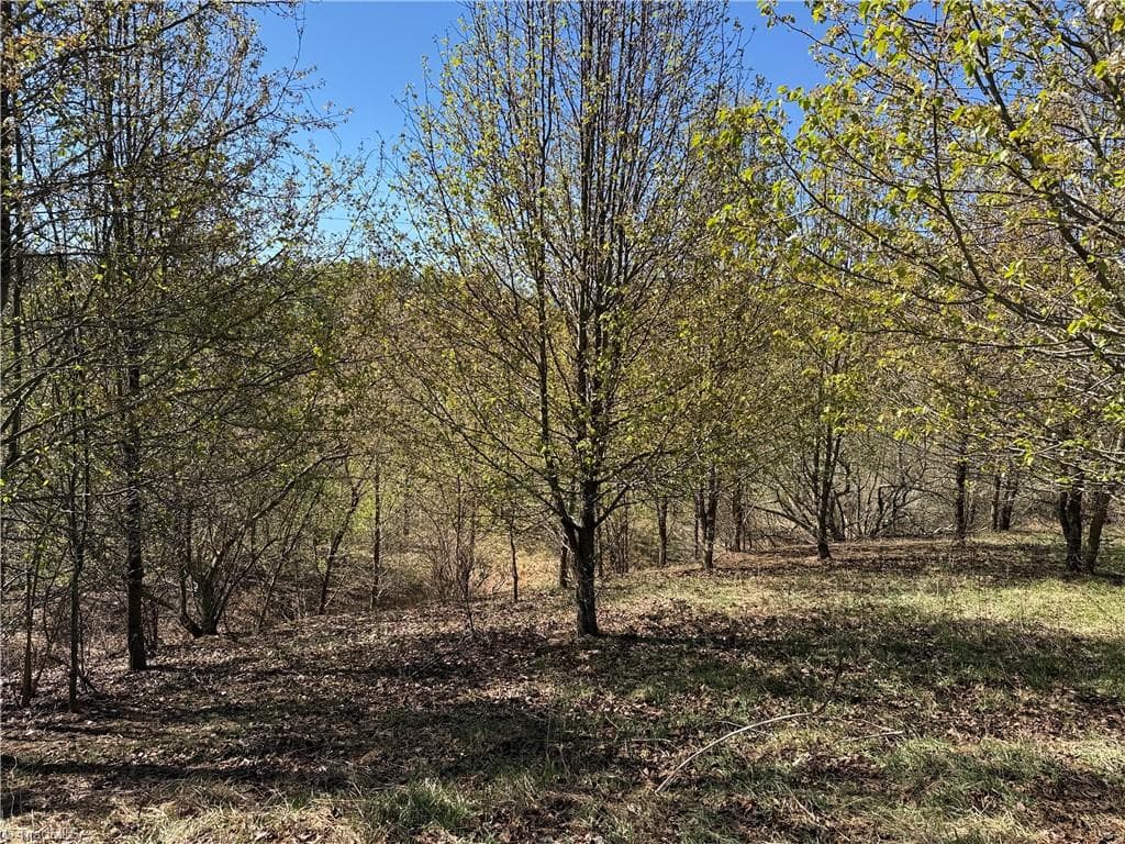 Single Family Residence at TBD (Lot 21 & 22) Martha Lane, Piney Creek NC 28663, photo 7 of 34