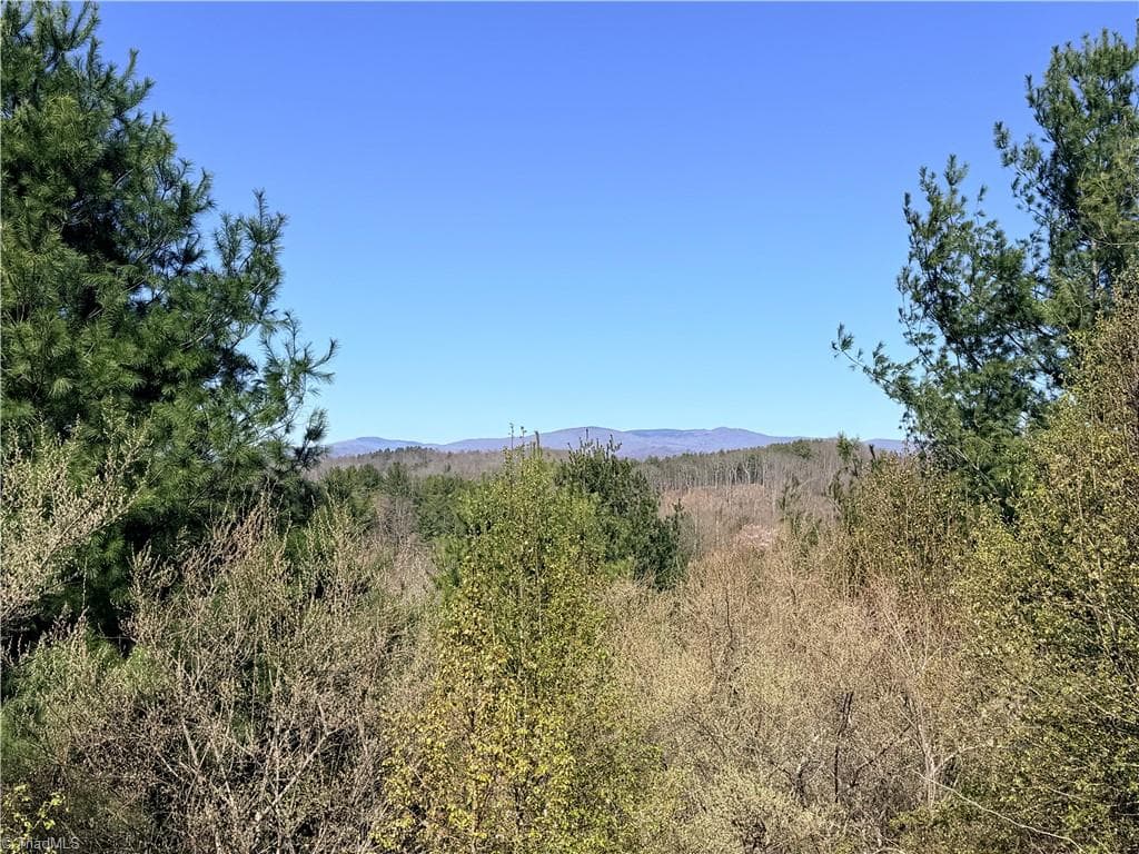 TBD (Lot 21 & 22) Martha Lane, Piney Creek NC 28663