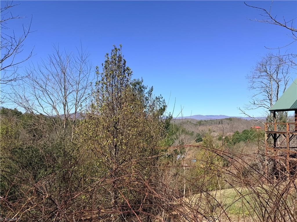 Single Family Residence at TBD (Lot 21 & 22) Martha Lane, Piney Creek NC 28663, photo 5 of 34