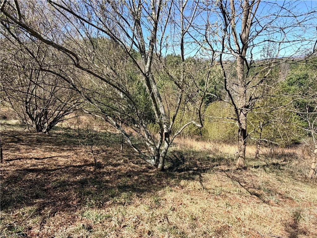 Single Family Residence at TBD (Lot 21 & 22) Martha Lane, Piney Creek NC 28663, photo 20 of 34