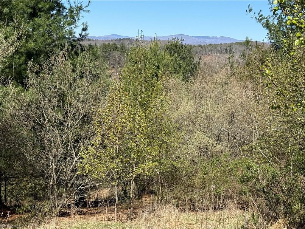 Single Family Residence at TBD (Lot 21 & 22) Martha Lane, Piney Creek NC 28663, photo 24 of 34