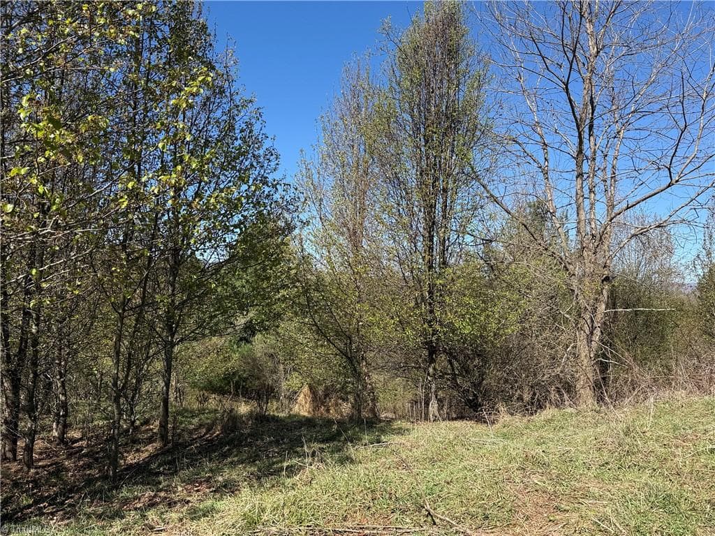 Single Family Residence at TBD (Lot 21 & 22) Martha Lane, Piney Creek NC 28663, photo 10 of 34