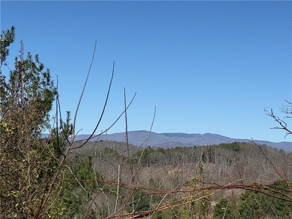 Single Family Residence at TBD (Lot 21 & 22) Martha Lane, Piney Creek NC 28663, photo 14 of 34