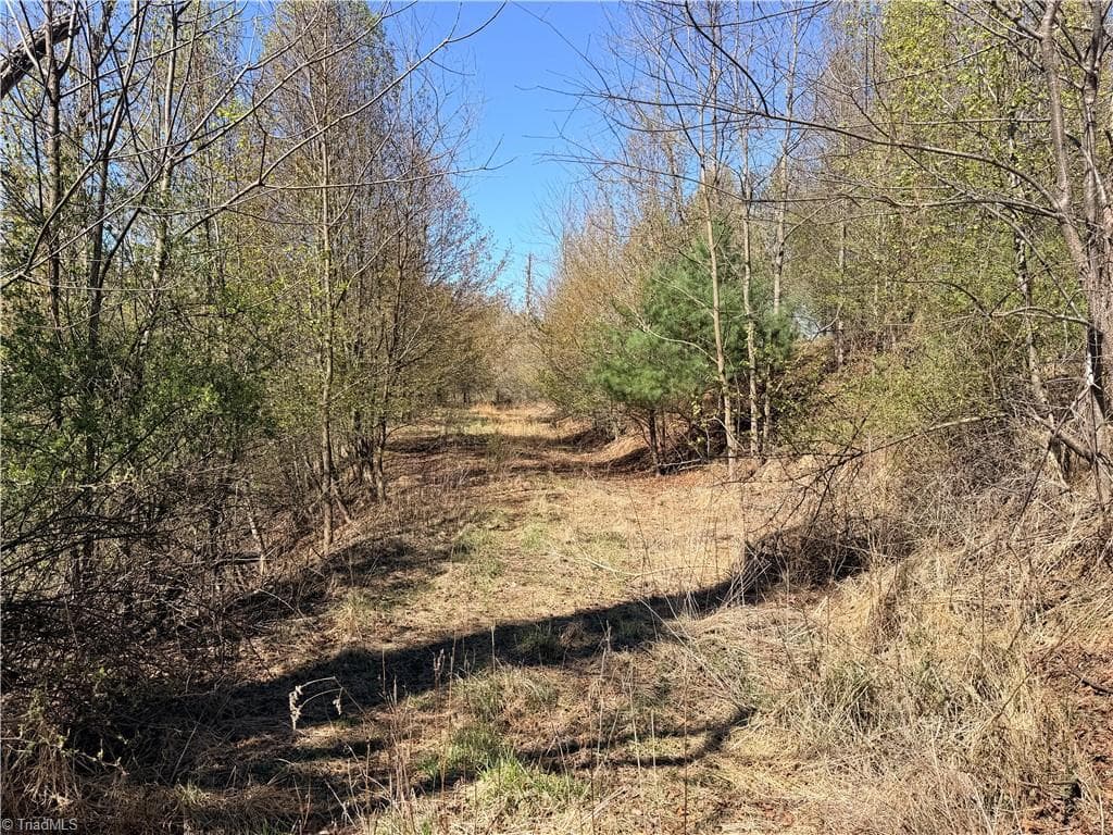 Single Family Residence at TBD (Lot 21 & 22) Martha Lane, Piney Creek NC 28663, photo 18 of 34