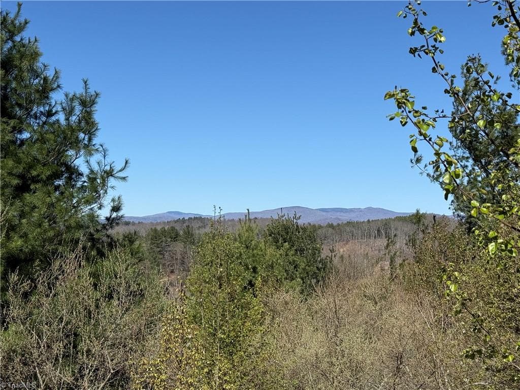 Single Family Residence at TBD (Lot 21 & 22) Martha Lane, Piney Creek NC 28663, photo 11 of 34