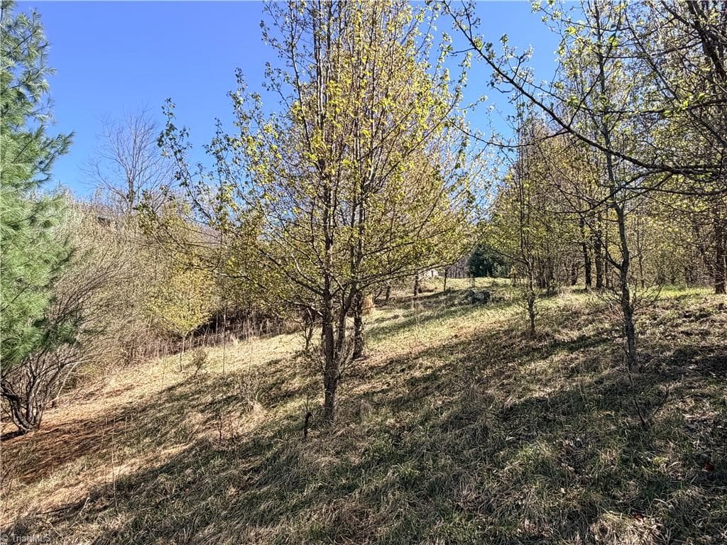 Single Family Residence at TBD (Lot 21 & 22) Martha Lane, Piney Creek NC 28663, photo 19 of 34