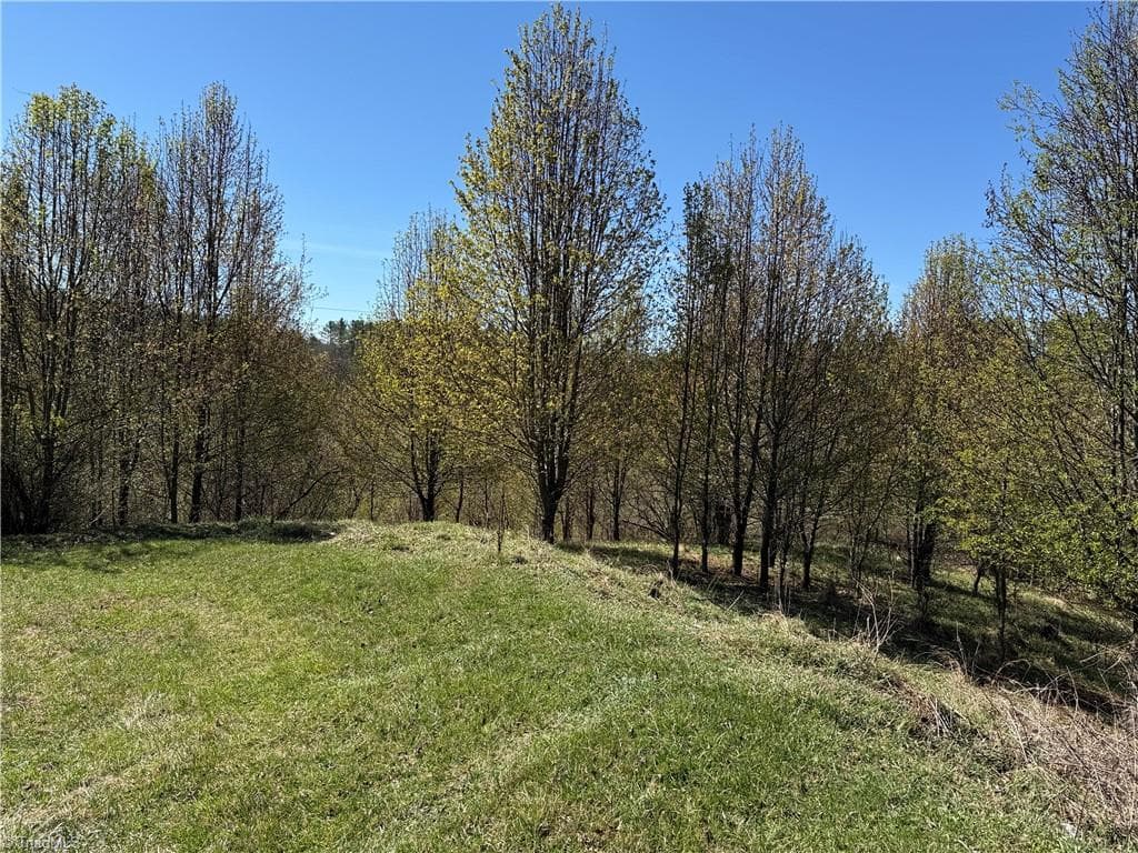 Single Family Residence at TBD (Lot 21 & 22) Martha Lane, Piney Creek NC 28663, photo 4 of 34