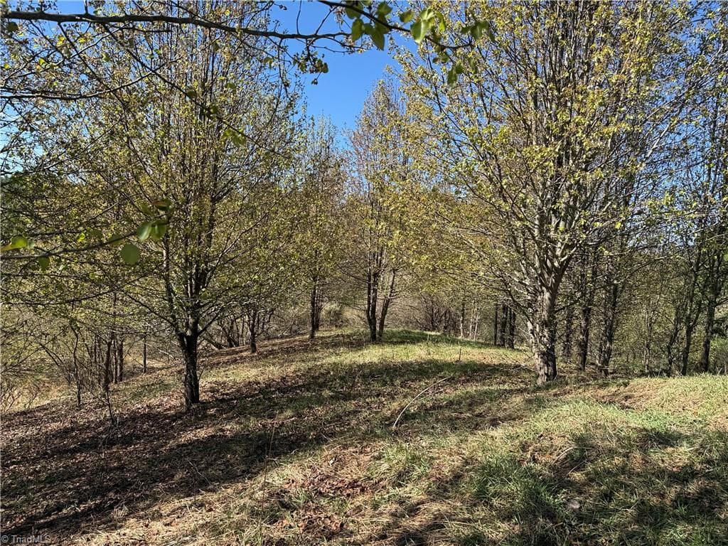 Single Family Residence at TBD (Lot 21 & 22) Martha Lane, Piney Creek NC 28663, photo 8 of 34