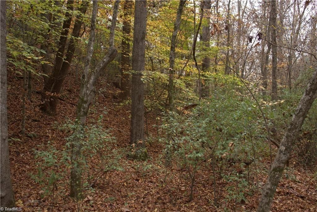 Single Family Residence at 00 Griffin Road, Stokesdale NC 27357, photo 23 of 31