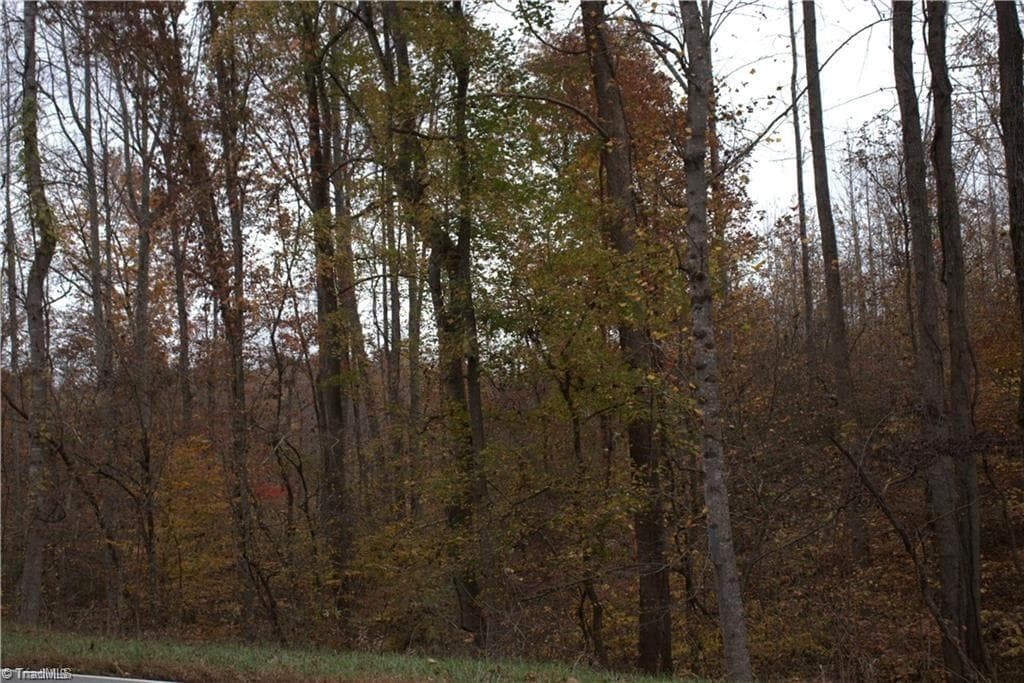 Single Family Residence at 00 Griffin Road, Stokesdale NC 27357, photo 27 of 31