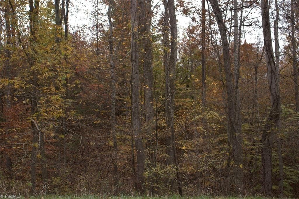 Single Family Residence at 00 Griffin Road, Stokesdale NC 27357, photo 28 of 31