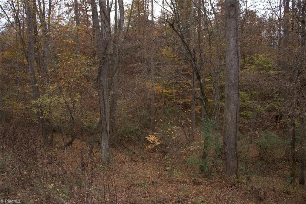 Single Family Residence at 00 Griffin Road, Stokesdale NC 27357, photo 5 of 31