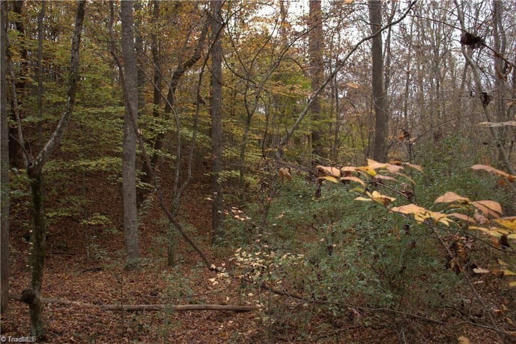 Single Family Residence at 00 Griffin Road, Stokesdale NC 27357, photo 18 of 31