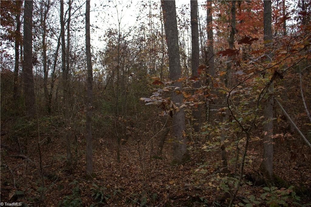 Single Family Residence at 00 Griffin Road, Stokesdale NC 27357, photo 11 of 31