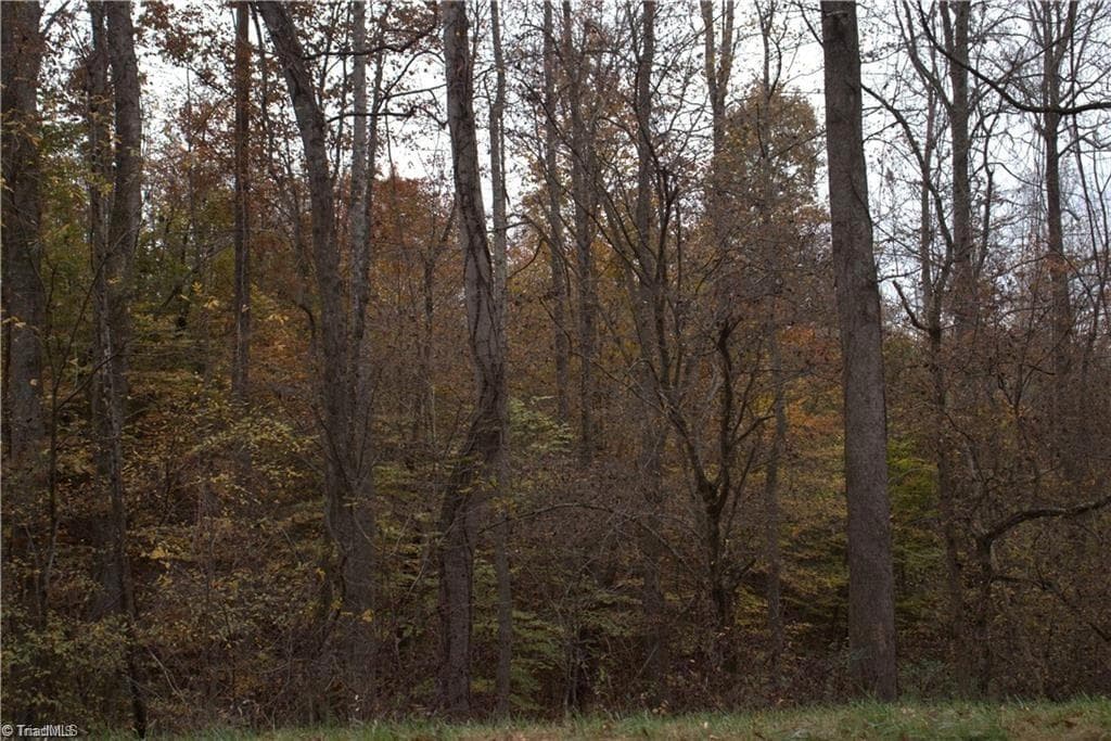 Single Family Residence at 00 Griffin Road, Stokesdale NC 27357, photo 29 of 31