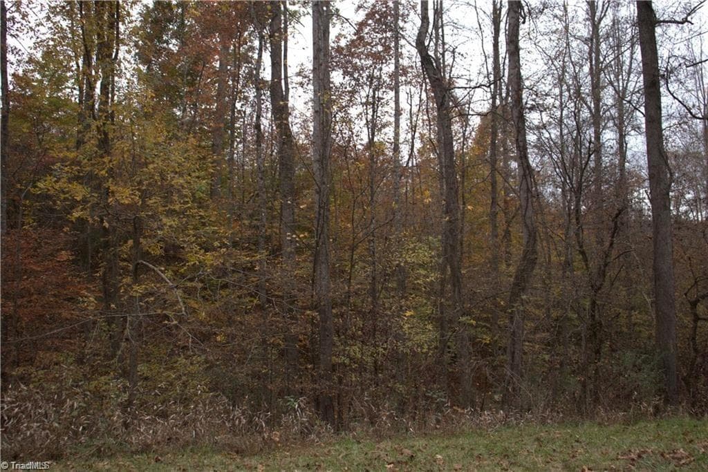 Single Family Residence at 00 Griffin Road, Stokesdale NC 27357, photo 4 of 31