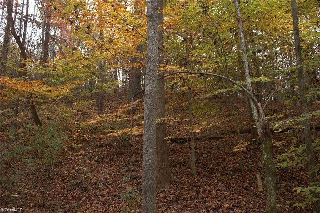 Single Family Residence at 00 Griffin Road, Stokesdale NC 27357, photo 25 of 31