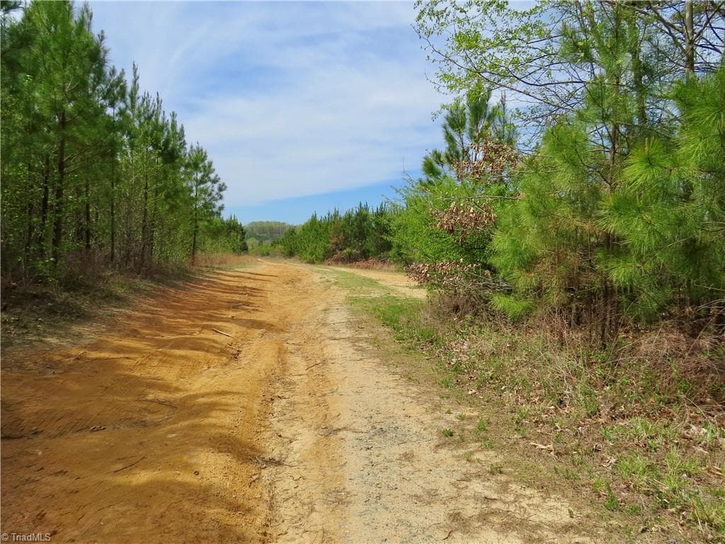 Agriculture at 0 Vernon Road, Reidsville NC 27320, photo 23 of 27
