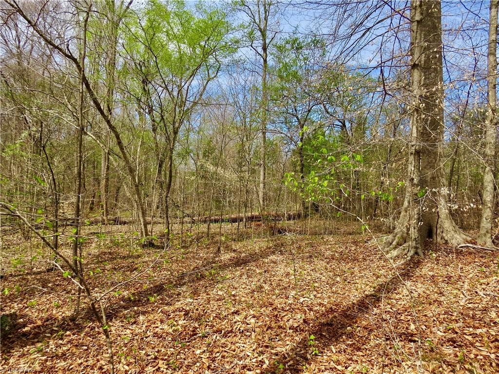 Agriculture at 0 Vernon Road, Reidsville NC 27320, photo 17 of 27