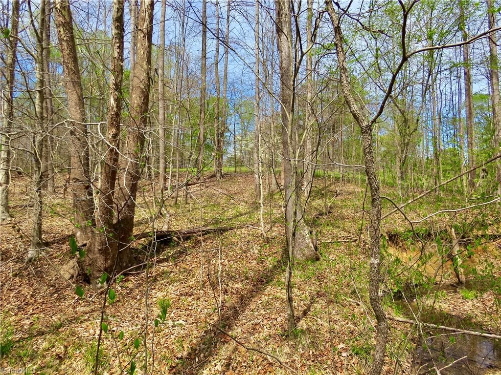 Agriculture at 0 Vernon Road, Reidsville NC 27320, photo 16 of 27