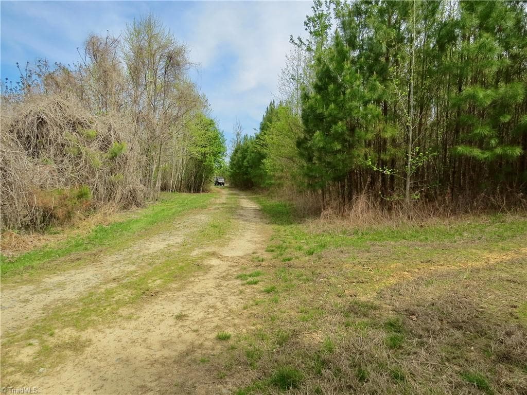 Agriculture at 0 Vernon Road, Reidsville NC 27320, photo 12 of 27