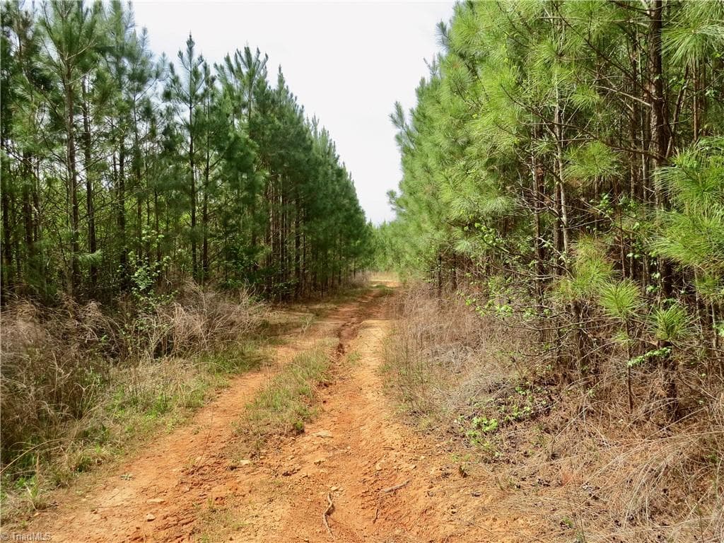 Agriculture at 0 Vernon Road, Reidsville NC 27320, photo 26 of 27