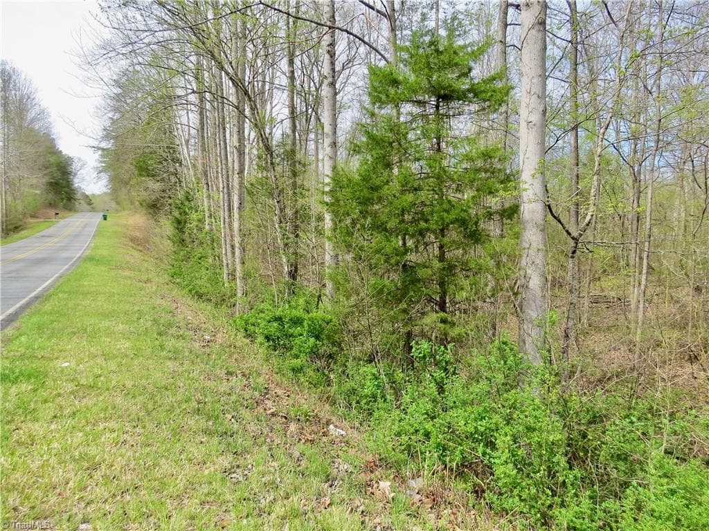 Agriculture at 0 Vernon Road, Reidsville NC 27320, photo 5 of 27