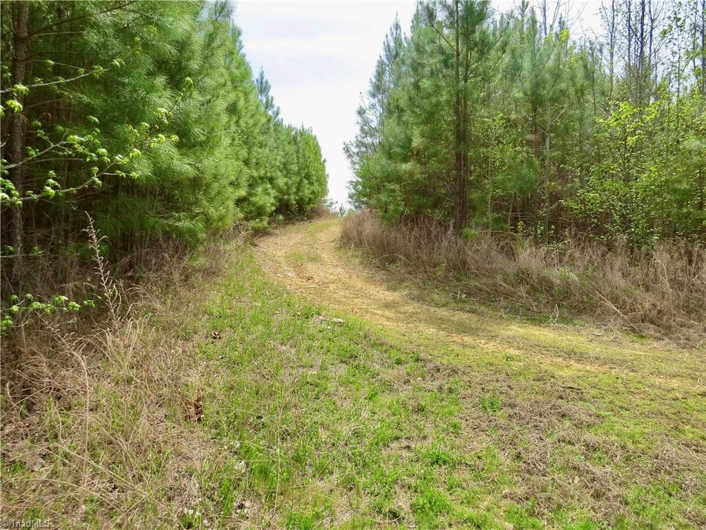 Agriculture at 0 Vernon Road, Reidsville NC 27320, photo 20 of 27