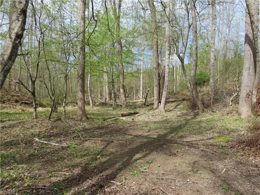 Agriculture at 0 Vernon Road, Reidsville NC 27320, photo 24 of 27
