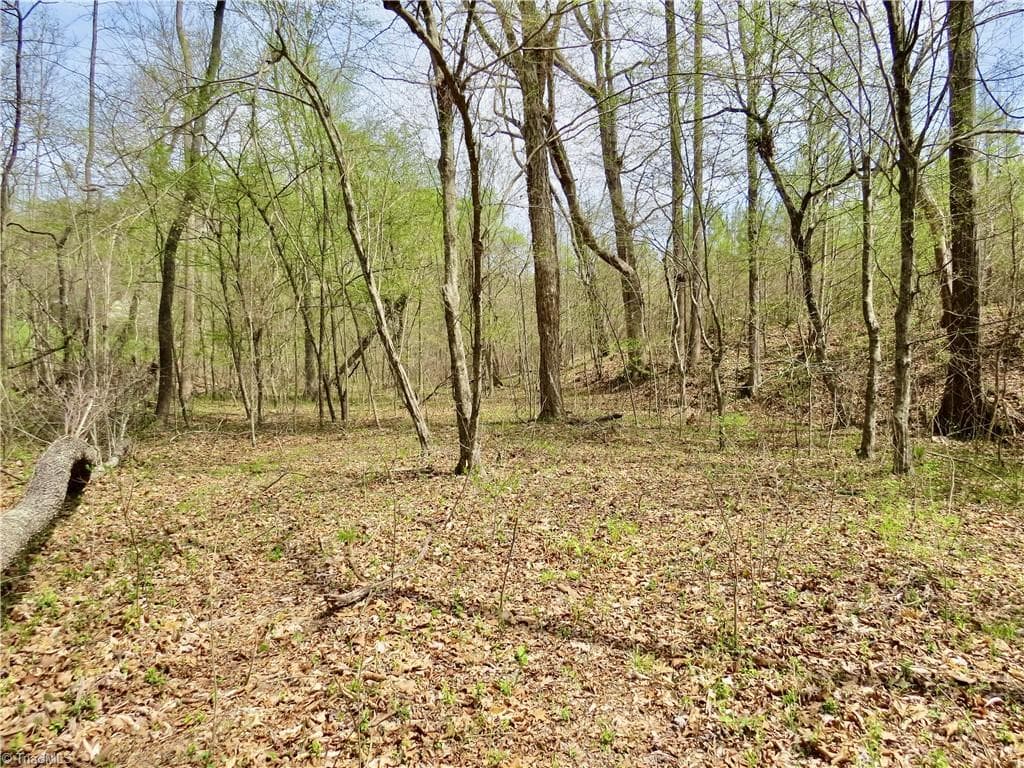 Agriculture at 0 Vernon Road, Reidsville NC 27320, photo 10 of 27