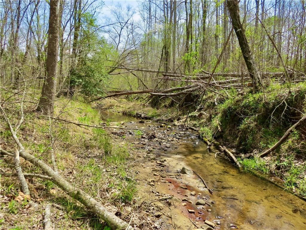 Agriculture at 0 Vernon Road, Reidsville NC 27320, photo 14 of 27
